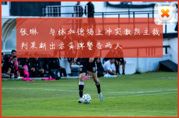 张琳芃与林加德场上冲突激烈主裁判果断出示黄牌警告两人