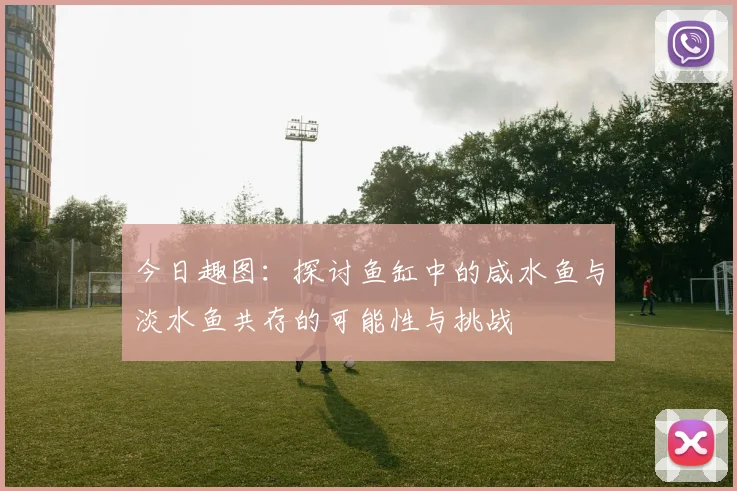 今日趣图：探讨鱼缸中的咸水鱼与淡水鱼共存的可能性与挑战