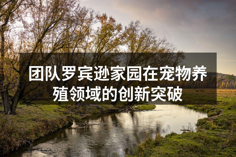 团队罗宾逊家园在宠物养殖领域的创新突破